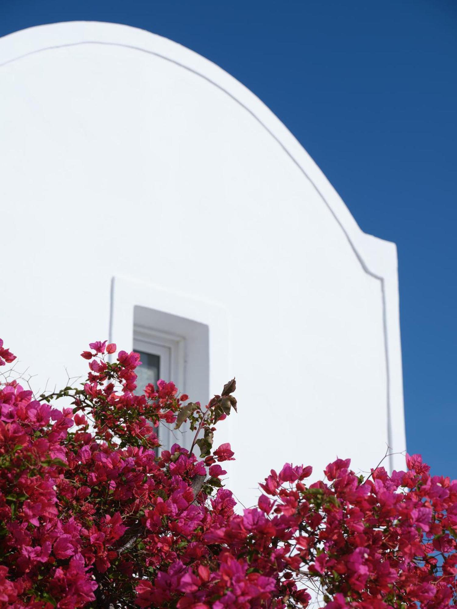 Aparthotel Loizos Stylish Residences